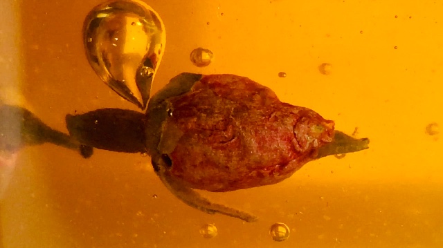 LAB-ORATORIUM   °   Umění PROMĚNY