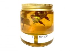 RŮŽE DAMAŠSKÁ med